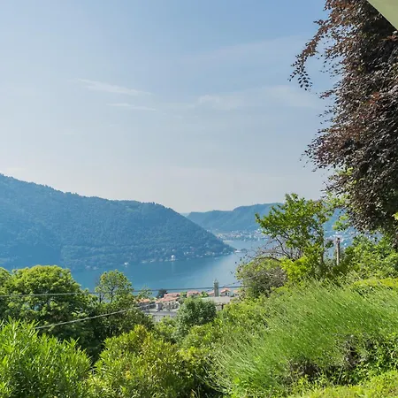 View Vila *
