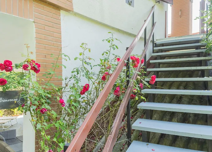 Feriehus View By Rent *